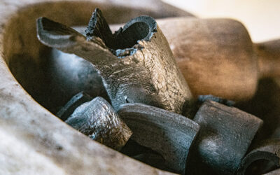 TacuaraLab: Investigación y Desarrollo de Biocarbón de Bambú