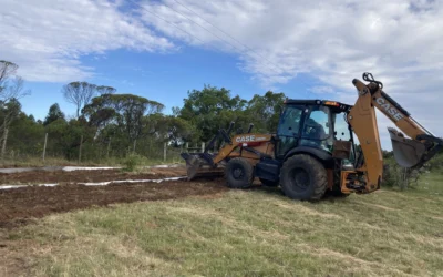 Convivencia con bambúes corredores
