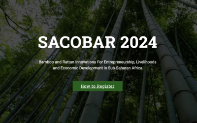 Participamos en el Primer Congreso del Bambú y Ratán en Nigeria – Africa