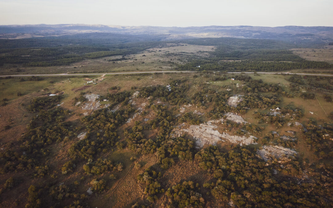 Aurora de las Sierras: 7 Años enraizando sueños y cultivando vida.