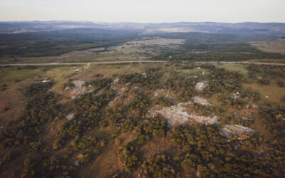 Aurora de las Sierras: 7 Años enraizando sueños y cultivando vida.