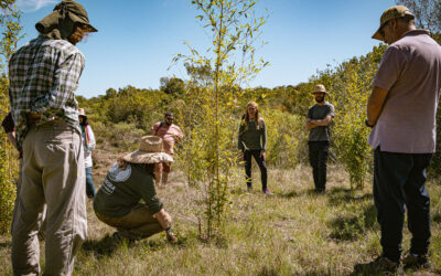 Día Internacional de Bambú –  18 de Septiembre